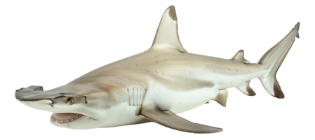 AI generated Hammerhead shark swimming gracefully in the ocean on transparent background - stock png. png