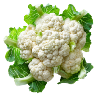 AI generated Fresh cauliflower with green leaves on transparent background - stock png. png