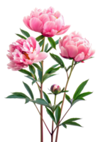 AI generated Colorful bouquet of peonies with pink and purple hues on transparent background - stock png. png