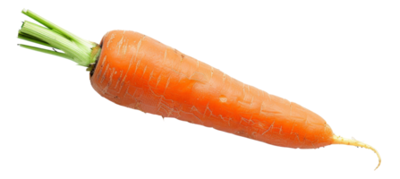 ai generato fresco biologico carota con verde cime su trasparente sfondo - azione png. png