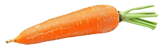 ai generato fresco biologico carota con verde cime su trasparente sfondo - azione png. png