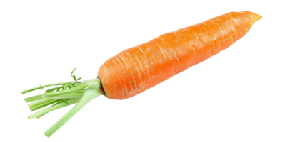 AI generated Fresh organic carrot with green tops on transparent background - stock png. png