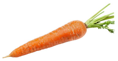 ai generato fresco biologico carota con verde cime su trasparente sfondo - azione png. png