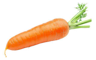 AI generated Fresh organic carrot with green tops on transparent background - stock png. png