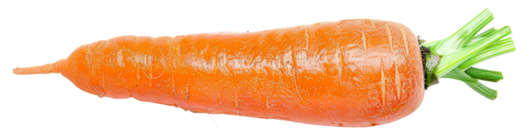 AI generated Fresh organic carrot with green tops on transparent background - stock png. png