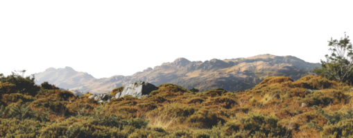 AI generated Barren rocky landscape with patches of dry grass and rugged terrain on transparent background - stock png. png