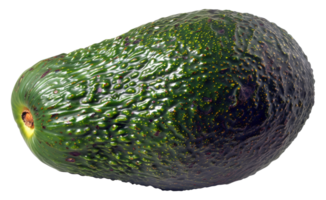AI generated Ripe avocado on transparent background - stock png. png