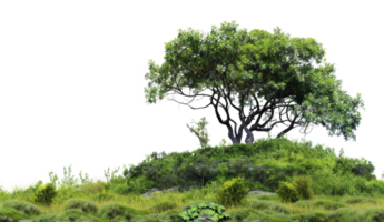 ai genererad lugn rullande grön kullar med frodig träd i en fredlig landskap på transparent bakgrund - stock png. png