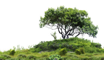 ai généré serein roulant vert collines avec luxuriant des arbres dans une paisible paysage sur transparent Contexte - Stock png. png