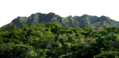 AI generated Dense green mountainous region with lush tropical forest and rugged terrain on transparent background - stock png. png