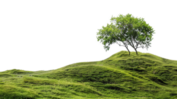AI generated Serene rolling green hills with lush trees in a peaceful landscape on transparent background - stock png. png