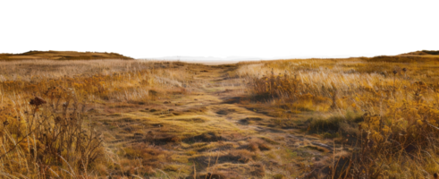 AI generated Landscape with patches of dry grass and rugged terrain on transparent background - stock png. png