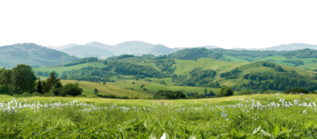 AI generated Green rolling hills and lush meadows in a tranquil rural landscape on transparent background - stock png. png