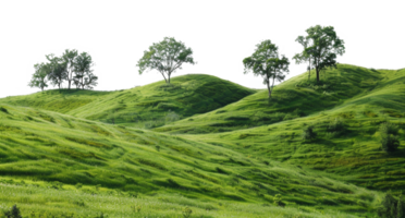 AI generated Serene rolling green hills with lush trees in a peaceful landscape on transparent background - stock png. png