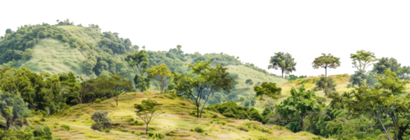 ai generiert heiter rollen Grün Hügel mit üppig Bäume im ein friedlich Landschaft auf transparent Hintergrund - - Lager png. png