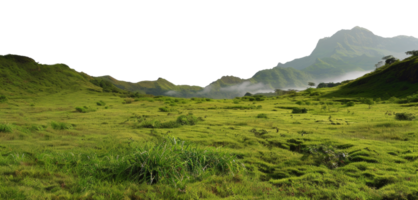AI generated Green rolling hills and lush meadows in a tranquil rural landscape on transparent background - stock png. png