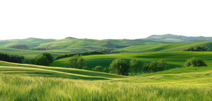 ai gegenereerd sereen rollend groen heuvels in een vredig landschap Aan transparant achtergrond - voorraad png. png