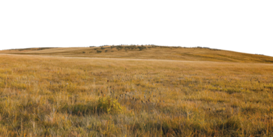 ai généré expansif prairie avec loin Montagne intervalle et d'or herbe sur transparent Contexte - Stock png. png