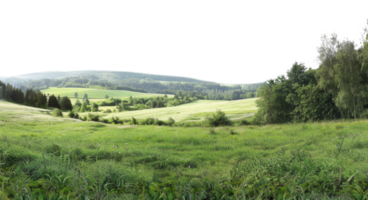 AI generated Green rolling hills and lush meadows in a tranquil rural landscape on transparent background - stock png. png