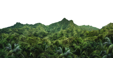 AI generated Dense tropical forest canopy with diverse foliage on transparent background - stock png. png