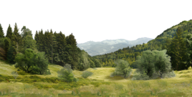 ai généré vert roulant collines et luxuriant prés dans une tranquille rural paysage sur transparent Contexte - Stock png. png