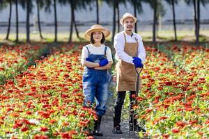 Portrait of Asian gardener team working in the farm holding garden fork among red zinnia field for cut flower business with copy space photo