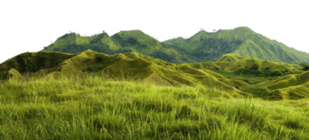 AI generated Verdant rolling hills with lush tall grass on transparent background - stock png. png