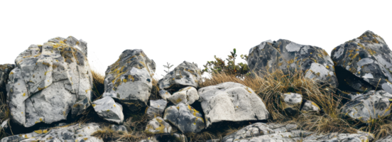 AI generated Rocky mountain outcrop with moss and sparse vegetation on transparent background - stock png. png