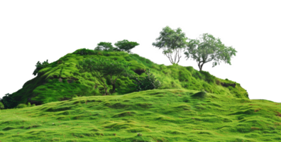 AI generated Serene rolling green hills with lush trees in a peaceful landscape on transparent background - stock png. png