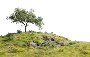 AI generated Solitary tree on a rolling green hill on transparent background - stock png. png