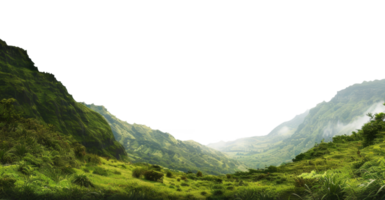 AI generated Alpine meadow with white wildflowers and forest in mountain landscape on transparent background - stock png. png