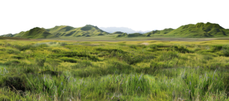 AI generated Green rolling hills and lush meadows in a tranquil rural landscape on transparent background - stock png. png