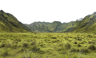 AI generated Verdant rolling hills with lush tall grass on transparent background - stock png. png