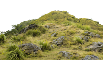 AI generated Mountain path through golden tussock grassland on transparent background - stock png. png