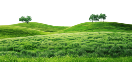 AI generated Serene rolling green hills with lush trees in a peaceful landscape on transparent background - stock png. png