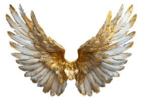 AI generated Golden angel wings spread wide on transparent background - stock png. png