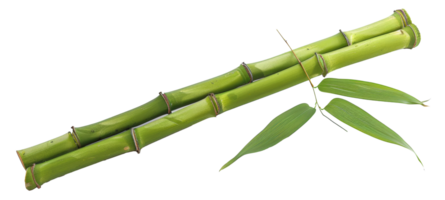 AI generated Green bamboo branch with leaves on transparent background - stock png. png