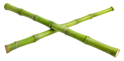 AI generated Crossed green bamboo sticks on transparent background - stock png. png