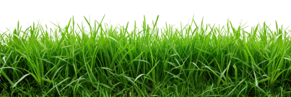 AI generated Green lush grass on a transparent background png