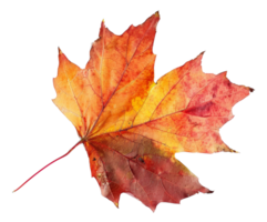 AI generated Orange autumn maple leaf on transparent background - stock png. png