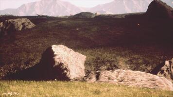 Green meadow on the background of the mountains video