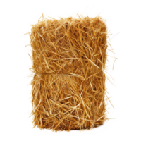 AI generated A cylinder of hay on a transparent background png