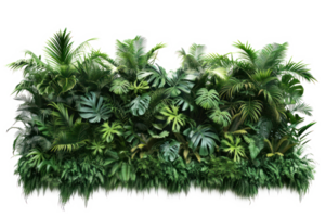 ai gerado verde parede do tropical plantas em uma transparente fundo png