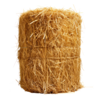 AI generated A cylinder of hay on a transparent background png