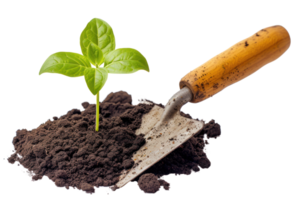 AI generated Young plant in the soil with a garden shovel on a transparent background png