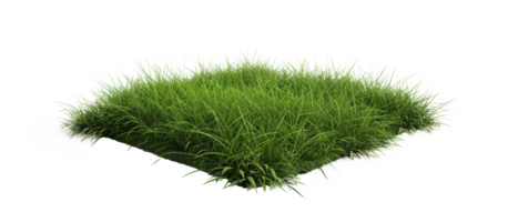 AI generated Small green grass lawn of square shape. Realistic natural element on a transparent background png