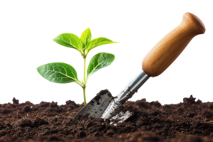 AI generated Young plant in the soil with a garden shovel on a transparent background png