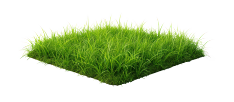 AI generated Small green grass lawn of square shape. Realistic natural element on a transparent background png