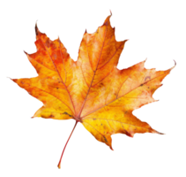 AI generated Orange autumn maple leaf on transparent background - stock png. png