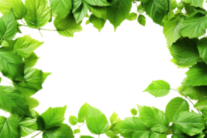 AI generated Beautiful green frame with leaves on a transparent background png
